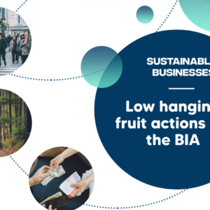 BIA Low hanging fruit actions